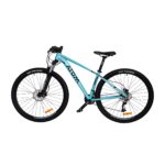 BICICLETA ATOM BURNER 29 GLOSS MENTA OSCURO - Imagen 2