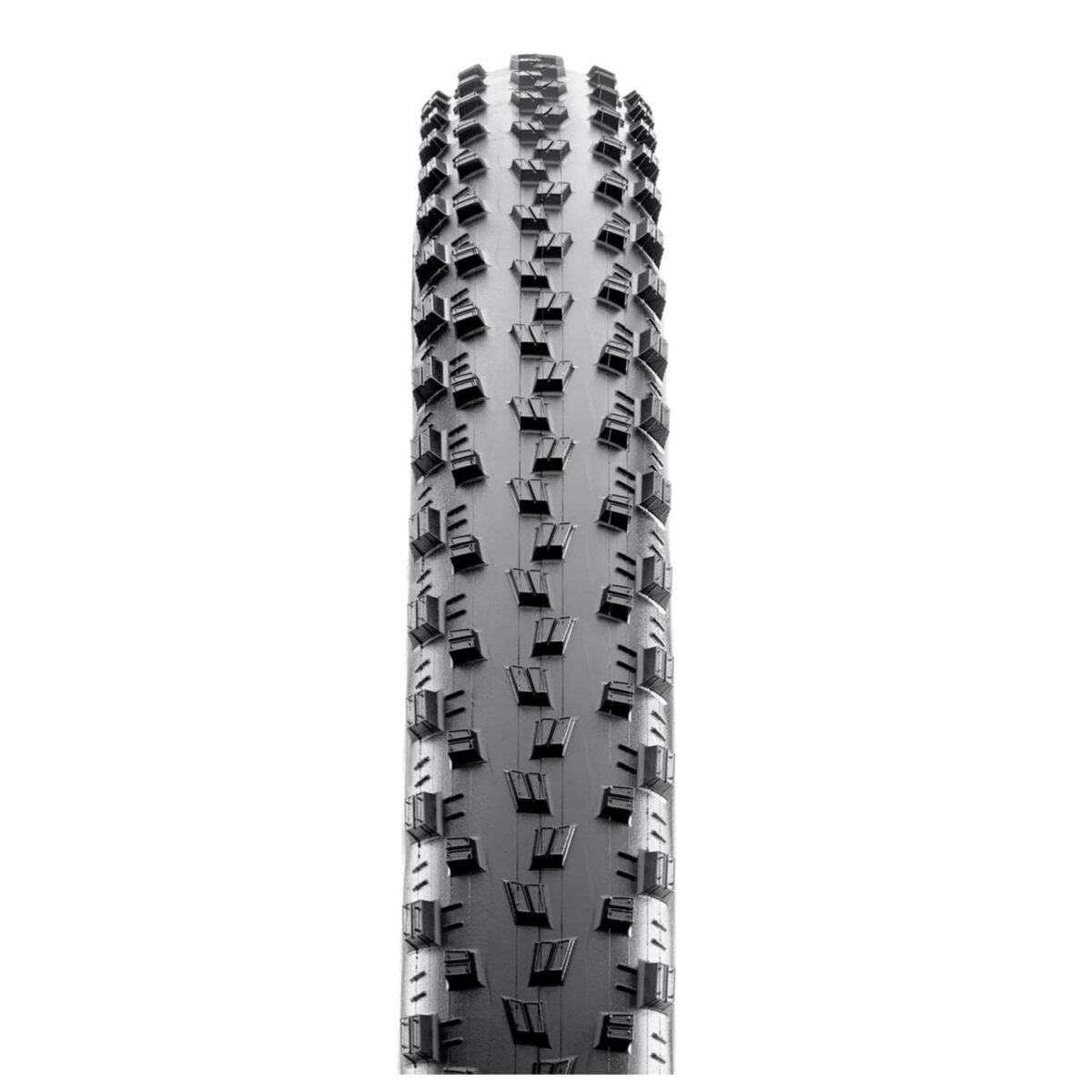 LLANTA MAXXIS SEVERE 29X2.25 MAXXSPEED/EXO/TR 120TPI - Imagen 2