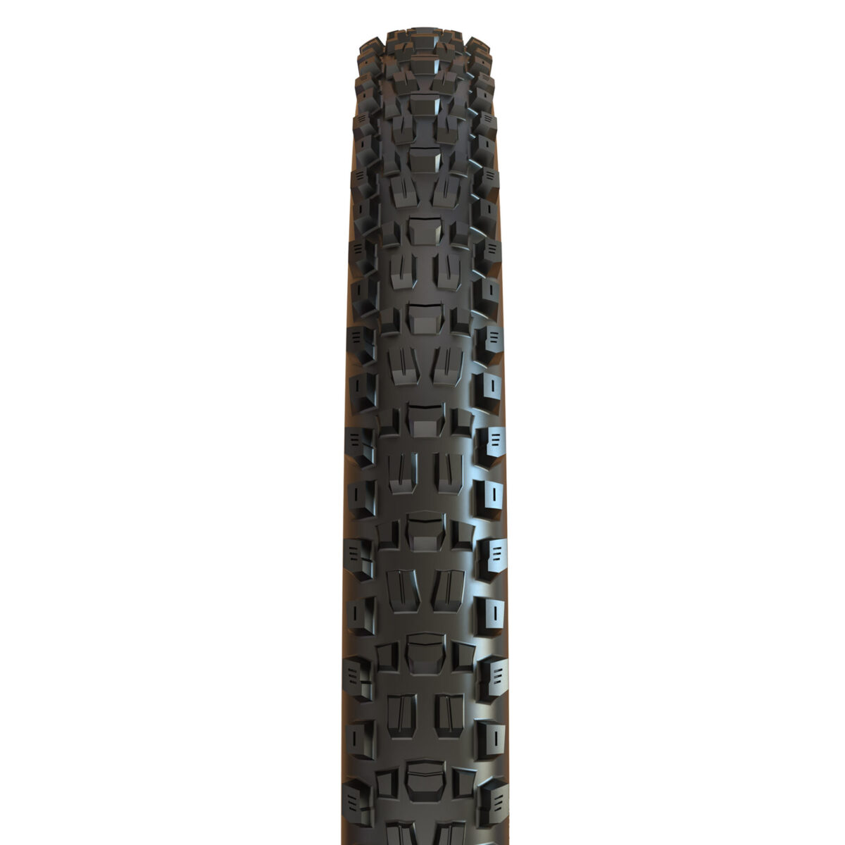 LLANTA MAXXIS ASSEGAI 29X2.50WT 120X2 TP 50PSI MAXI 3C/DD/TR - Imagen 2